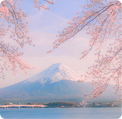 Japan Validated